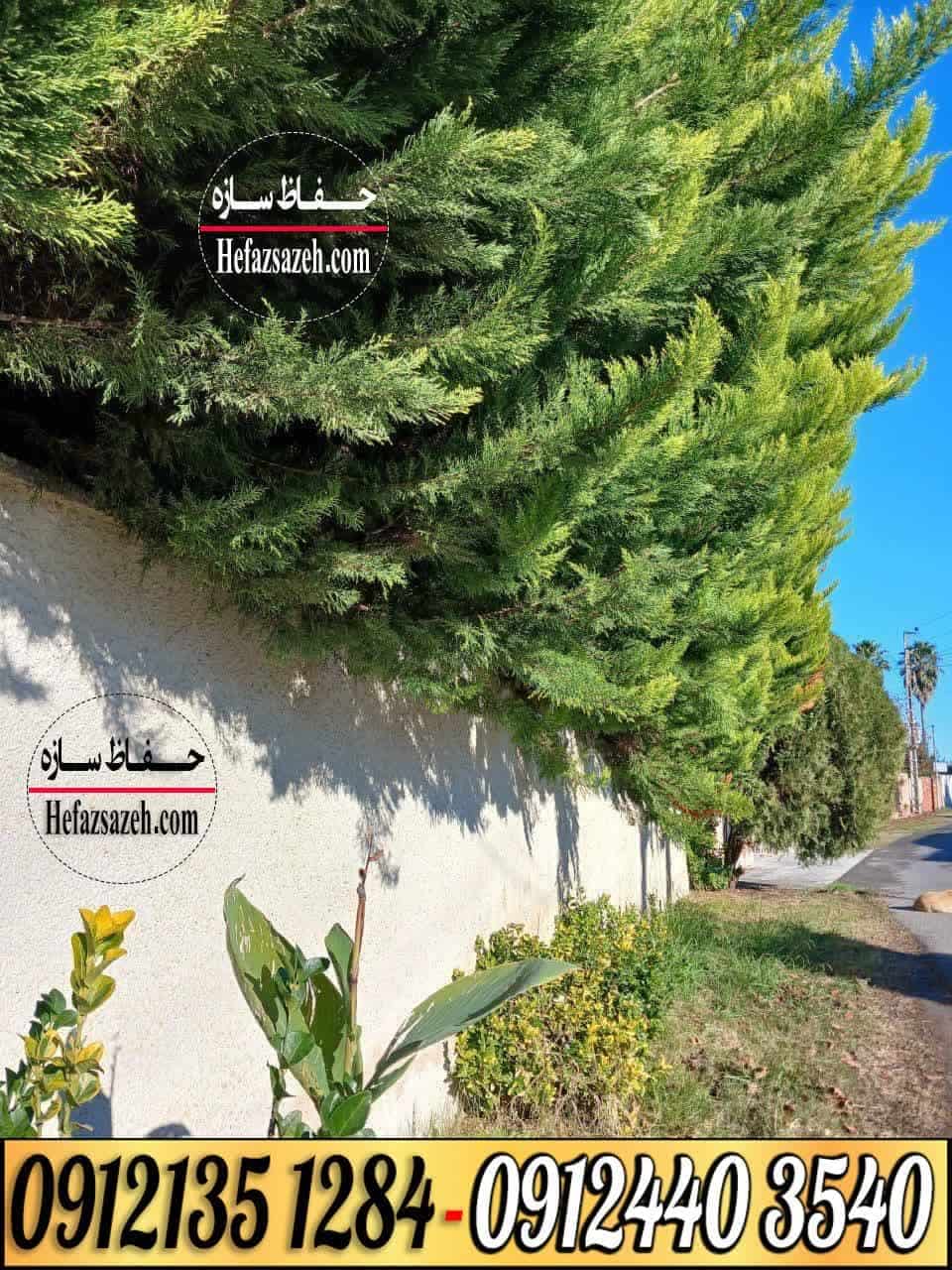 حفاظ شاخ گوزنی