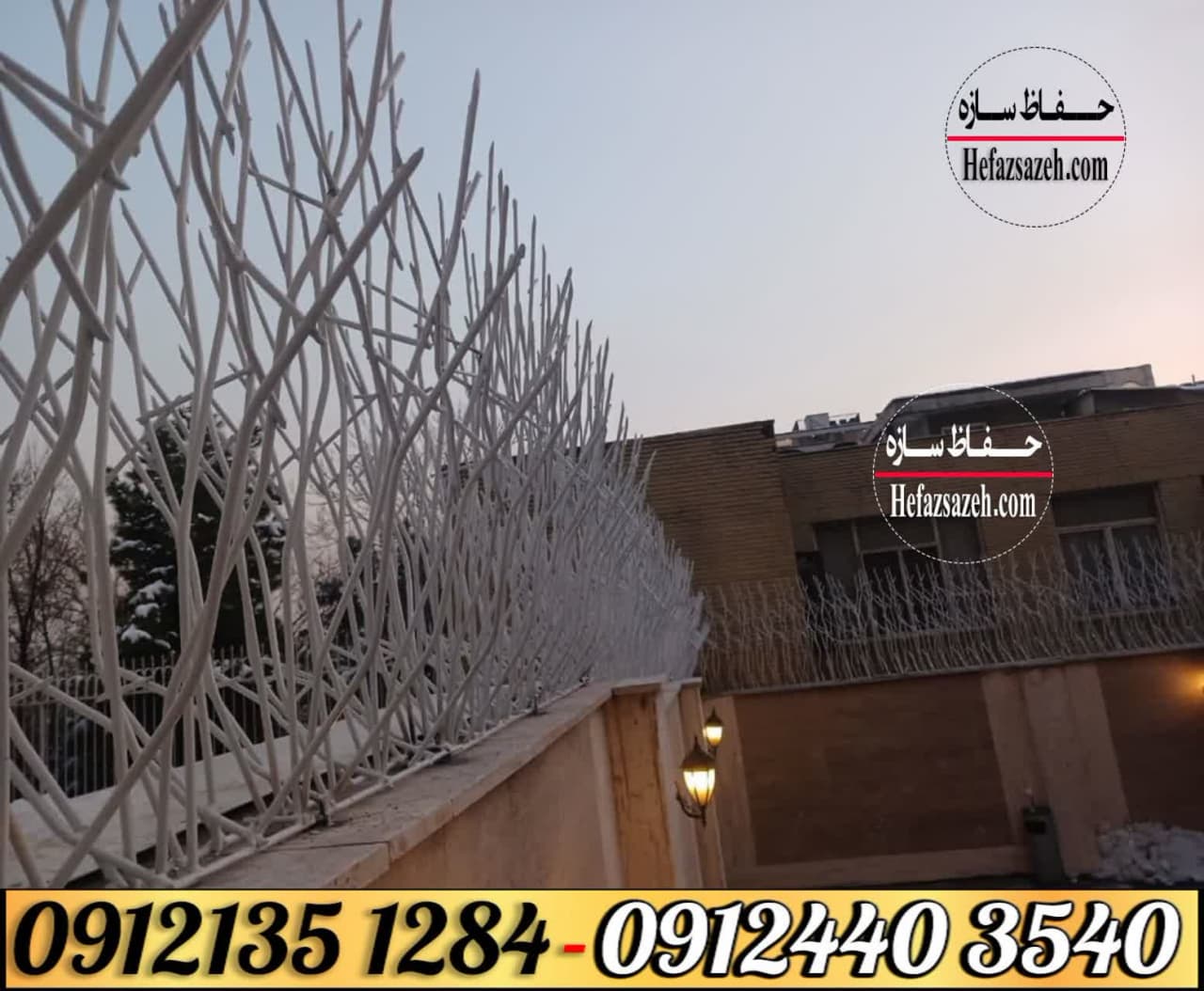 حفاظ شاخ گوزنی