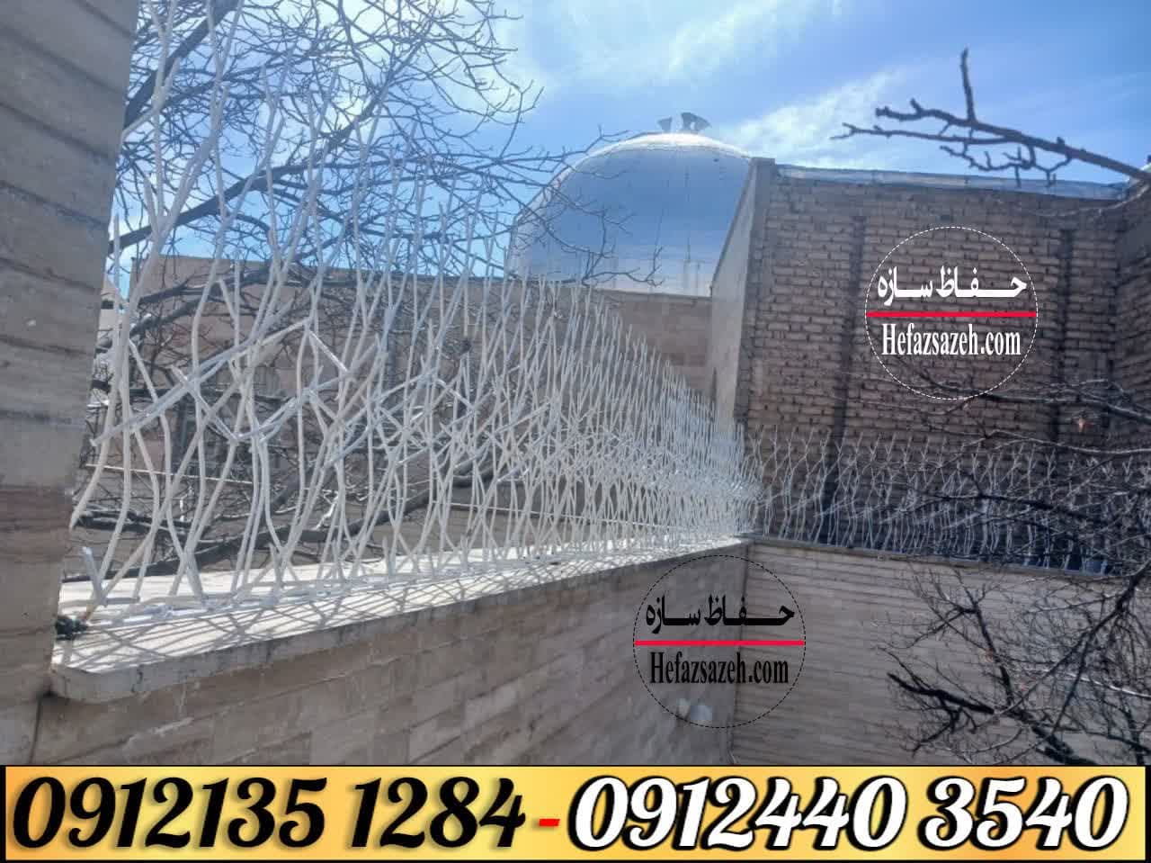 حفاظ شاخ گوزنی