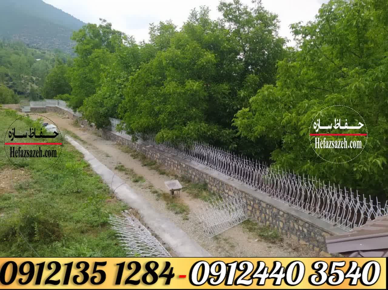 حفاظ شاخ گوزنی