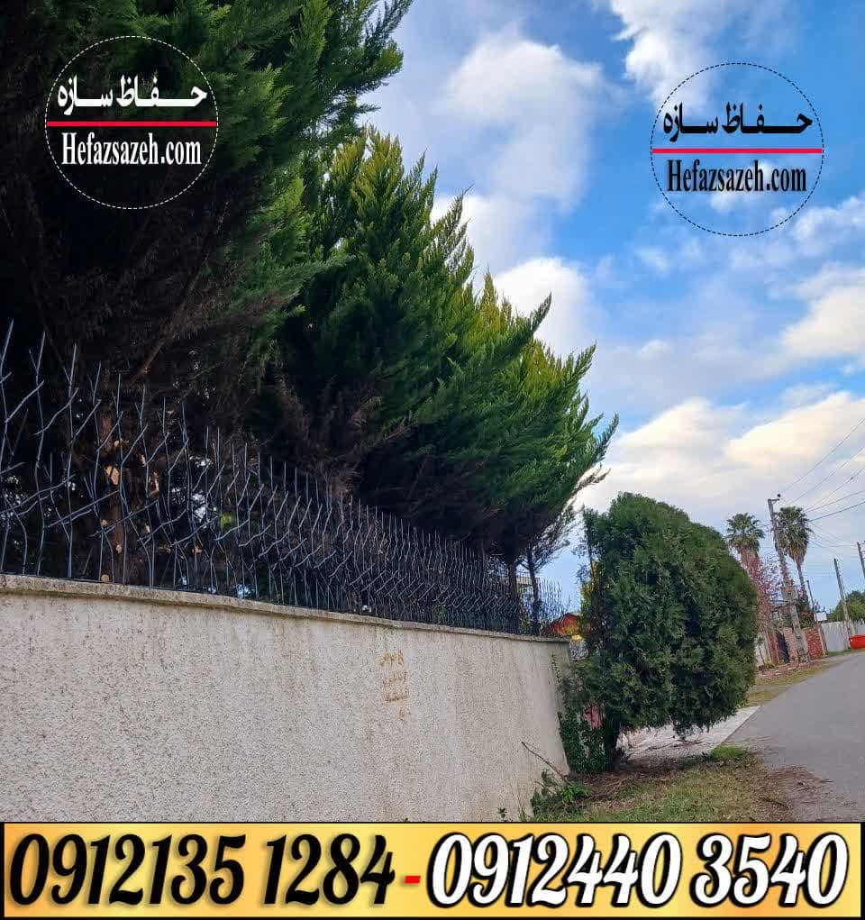 قیمت حفاظ شاخ گوزنی