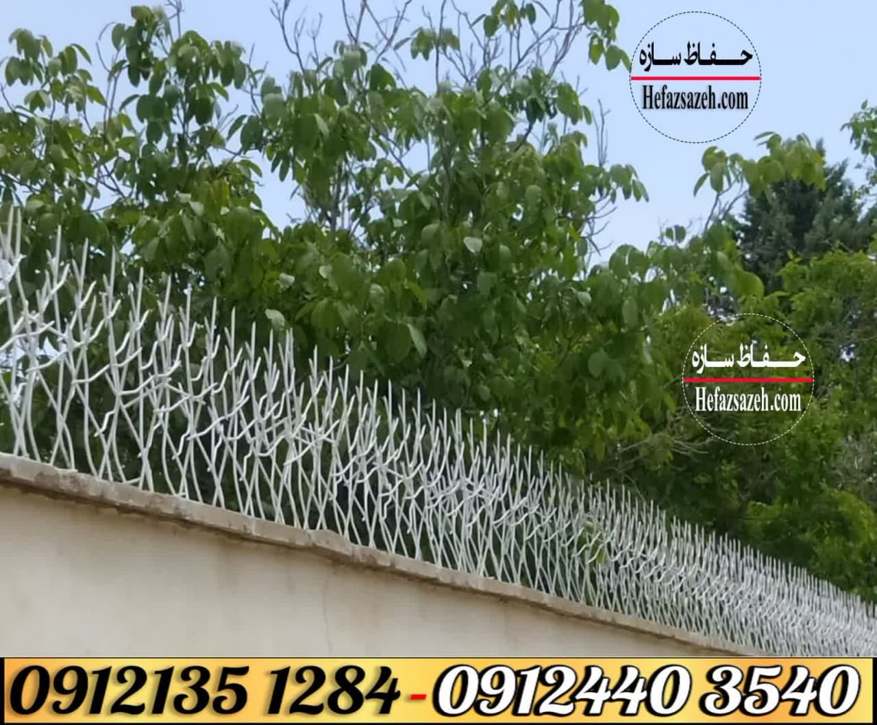 حفاظ شاخ گوزنی